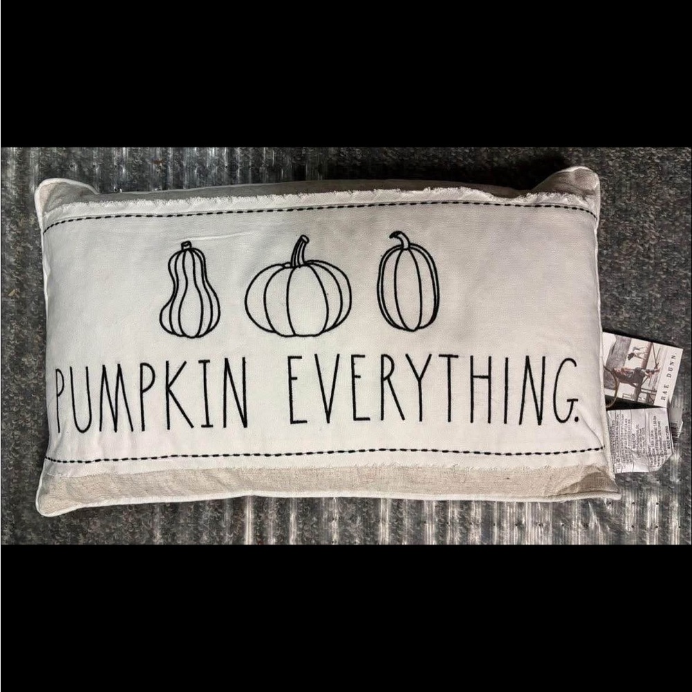 Rae Dunn White and Black Pumpkin throw Pillow